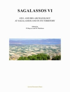 Book cover for the book Sagalassos VI