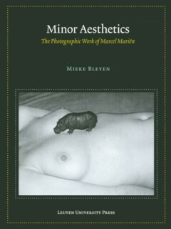 Book cover for the book Minor Aesthetics