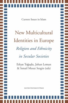 Book cover for New Multicultural Identities in Europe
