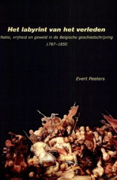 Book cover for the book Het labyrint van het verleden